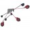 Proaim Camtree G-91 New